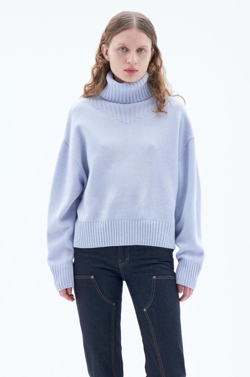 Nieuwste Model Ice Blue Dames Knitwear Filippa K Wollen Coltrui